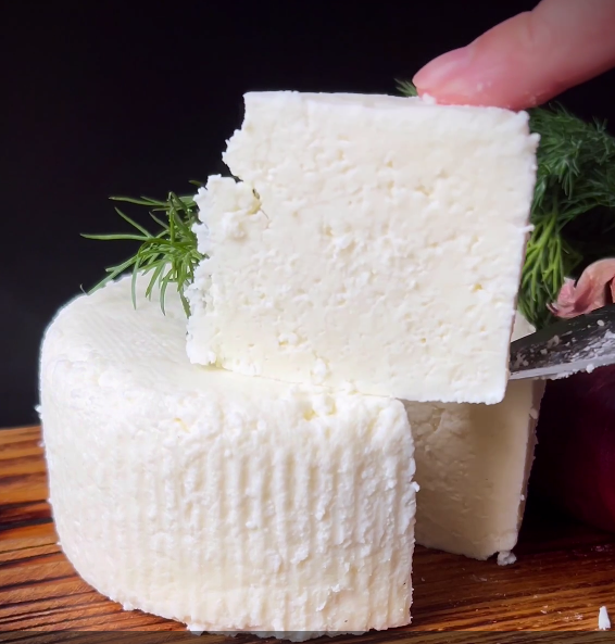 [СыроварКрым] Начинающие (2025)_0.png